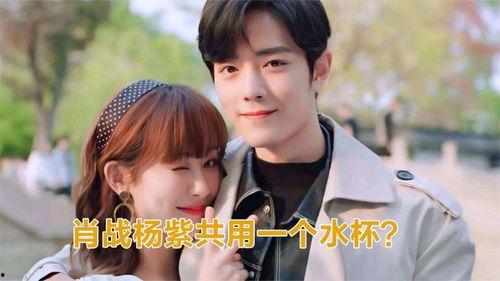 最新爆料肖战杨紫视频,幕后真相引网友热议  第2张